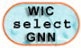 GNN WIC Award